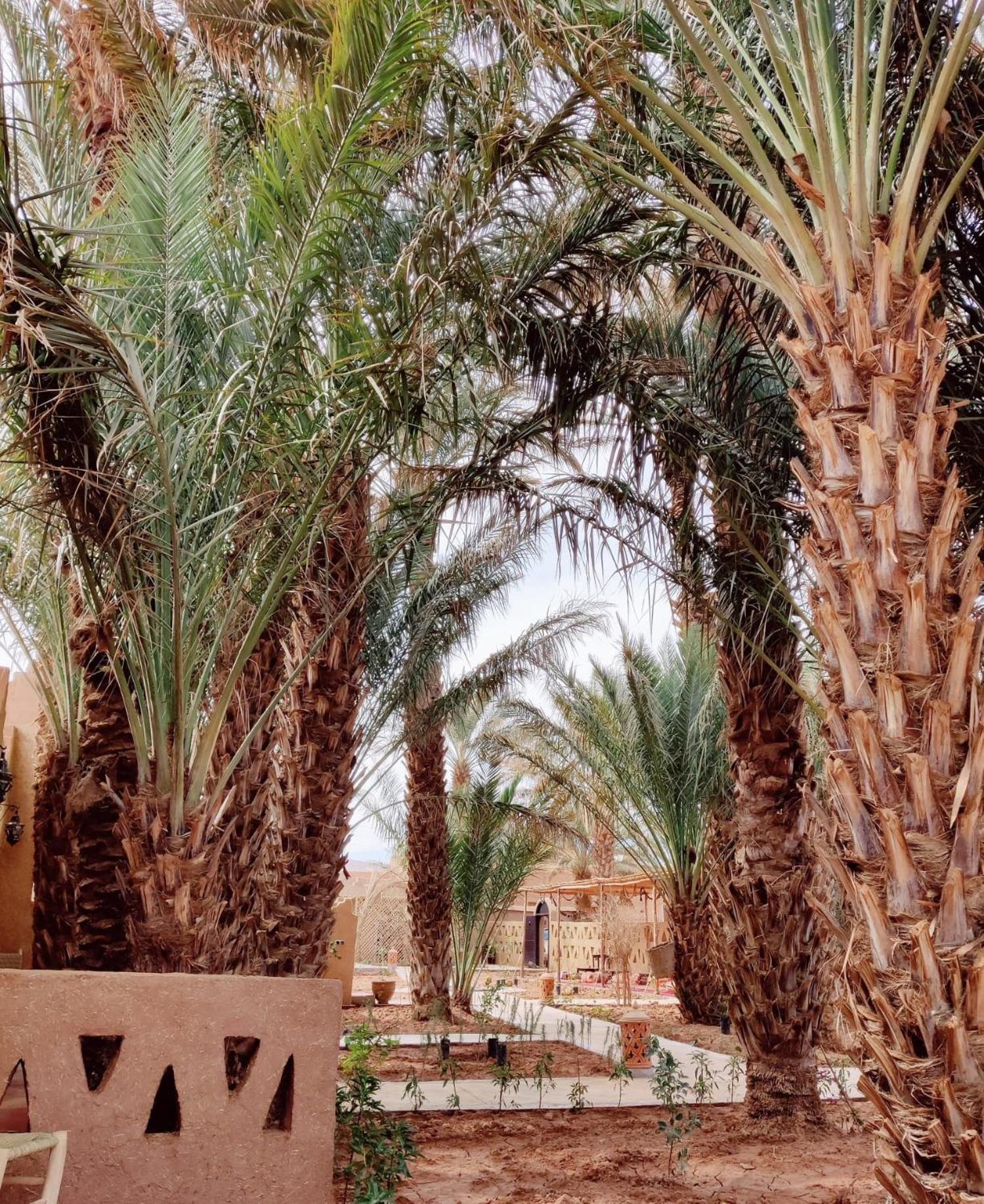 Zagora Oasis Lodge Екстер'єр фото